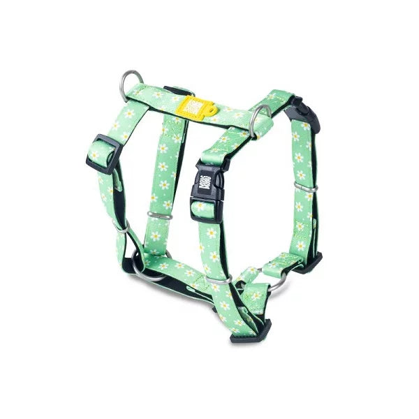 MAX & MOLLY H-HARNESS - MARGARITE/L 2,5X70-98CM