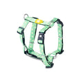 MAX & MOLLY H-HARNESS - MARGARITE/M 2X53-69CM