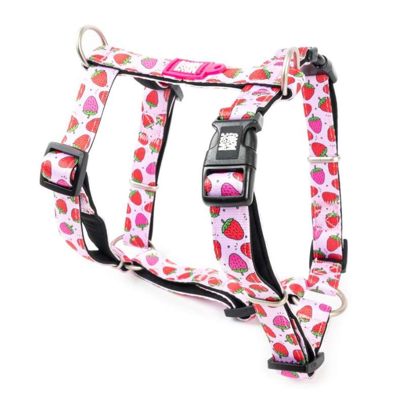 MAX & MOLLY H-HARNESS - STRAWBERRY DREAM/L 2,5X70-98CM