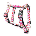 MAX & MOLLY H-HARNESS - STRAWBERRY DREAM/M 2X53-69CM