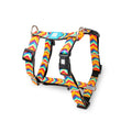MAX & MOLLY H-HARNESS - SUMMERTIME/L 2,5X70-98CM