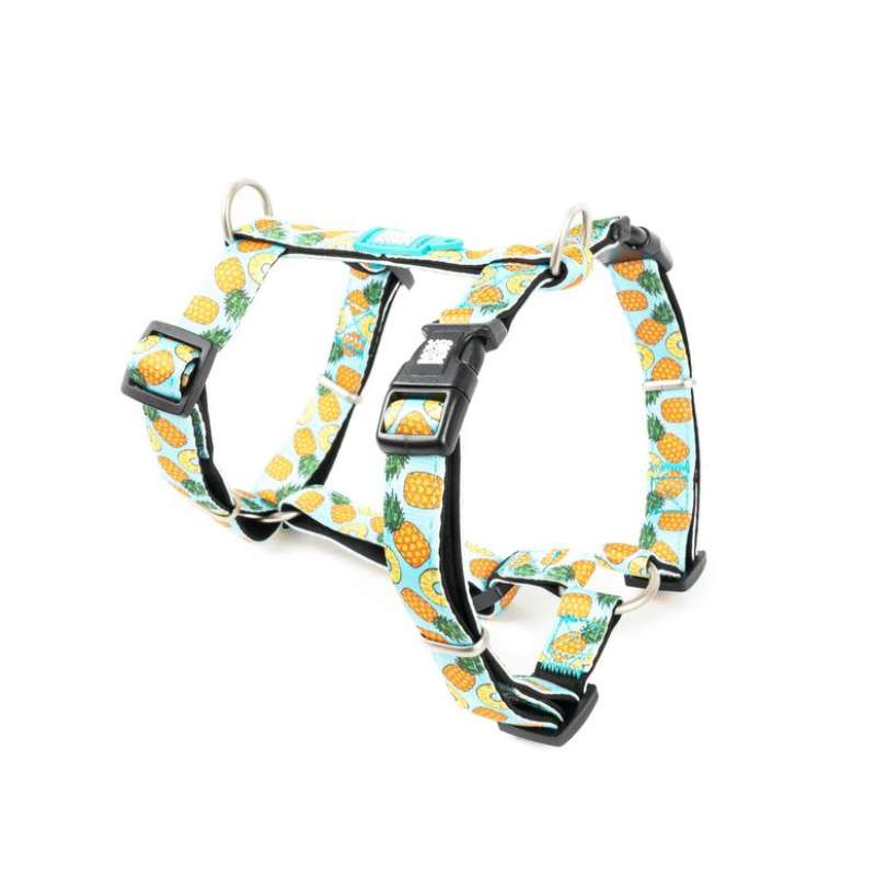 MAX & MOLLY H-HARNESS - SWEET PINEAPPLE/S 1,5X41-52CM
