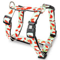 MAX & MOLLY H-HARNESS - WATERMELON/M 2X53-69CM