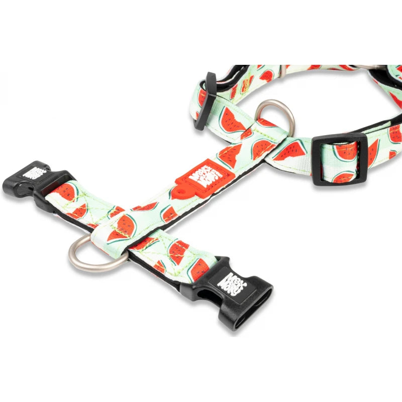 MAX & MOLLY H-HARNESS - WATERMELON/M 2X53-69CM