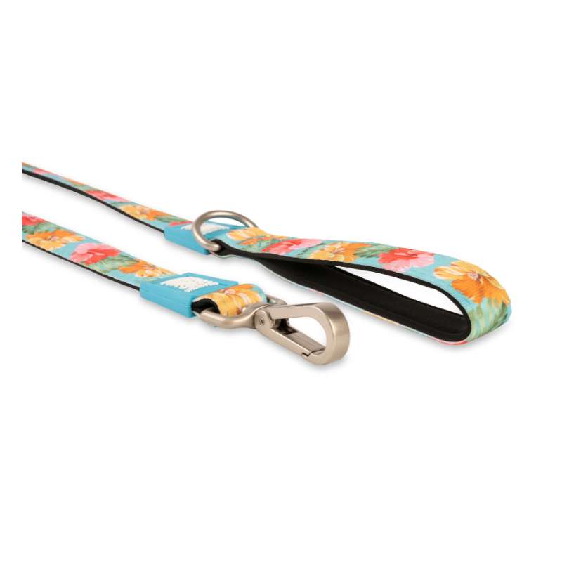 MAX & MOLLY SHORT LEASH - EXOTIQUE/L 2,5CMX120CM