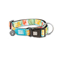 MAX & MOLLY SMART ID COLLAR - EXOTIQUE/XS 1,0CMX22-35CM