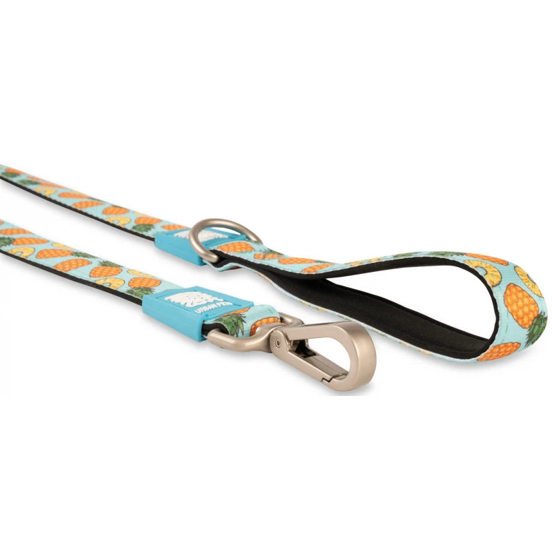 MAX & MOLLY SHORT LEASH - SWEET PINEAPPLE/XS 1CMX120CM