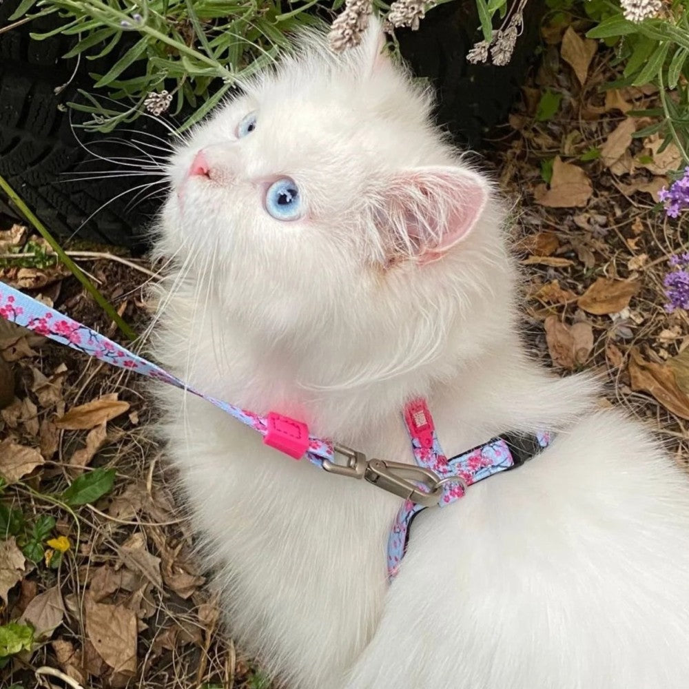 MAX & MOLLY CAT HARNESS/LEASH SET - CHERRY BLOOM/1 SIZE