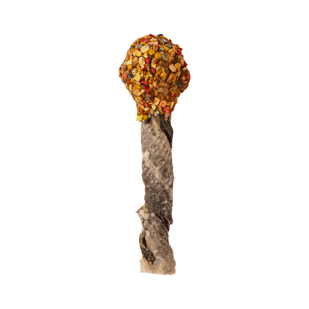 COOKA'S COOKIES CHEWY POP LOLLIPOP ΜΕ ΓΑΛΟΠΟΥΛΑ ΚΑΙ ΔΕΡΜΑ ΜΠΑΚΑΛΙΑΡΟΥ 30-40G