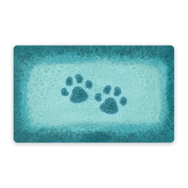 VASAIO PET PLACEMAT 29.2X48.3CM