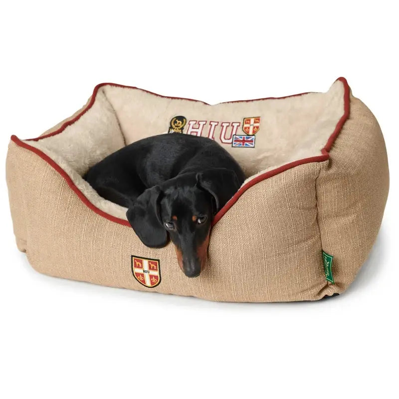 HUNTER UNIVERSITY DOG SOFA 80X60CM ΓΚΡΙ