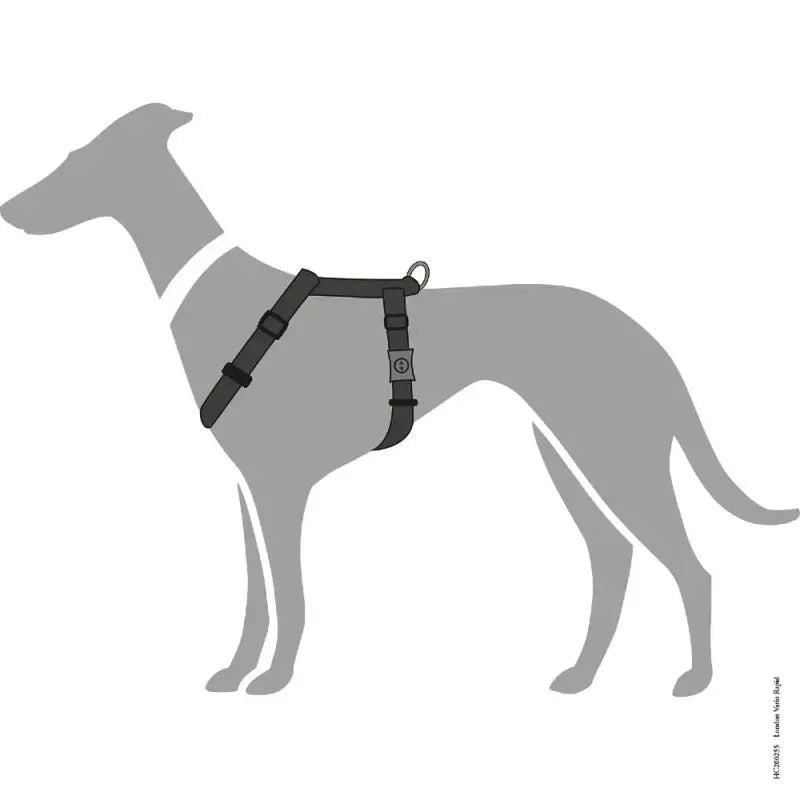 HU43509 ΚΟΛΑΡΟ HUNTER VB ALU-STRONG L BLACK 2CMX40-55CM