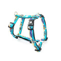 MAX & MOLLY H-HARNESS - ALOHA/XS 1X32-40CM