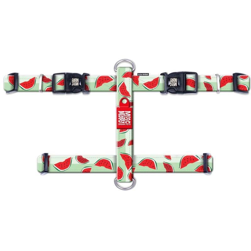 MAX & MOLLY H-HARNESS - WATERMELON/S 1,5X41-52CM