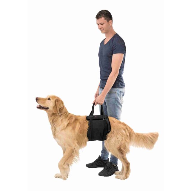 TRIXIE ΒΟΗΘΗΜΑ LIFTING AID M 60-65CM ΜΑΥΡΟ