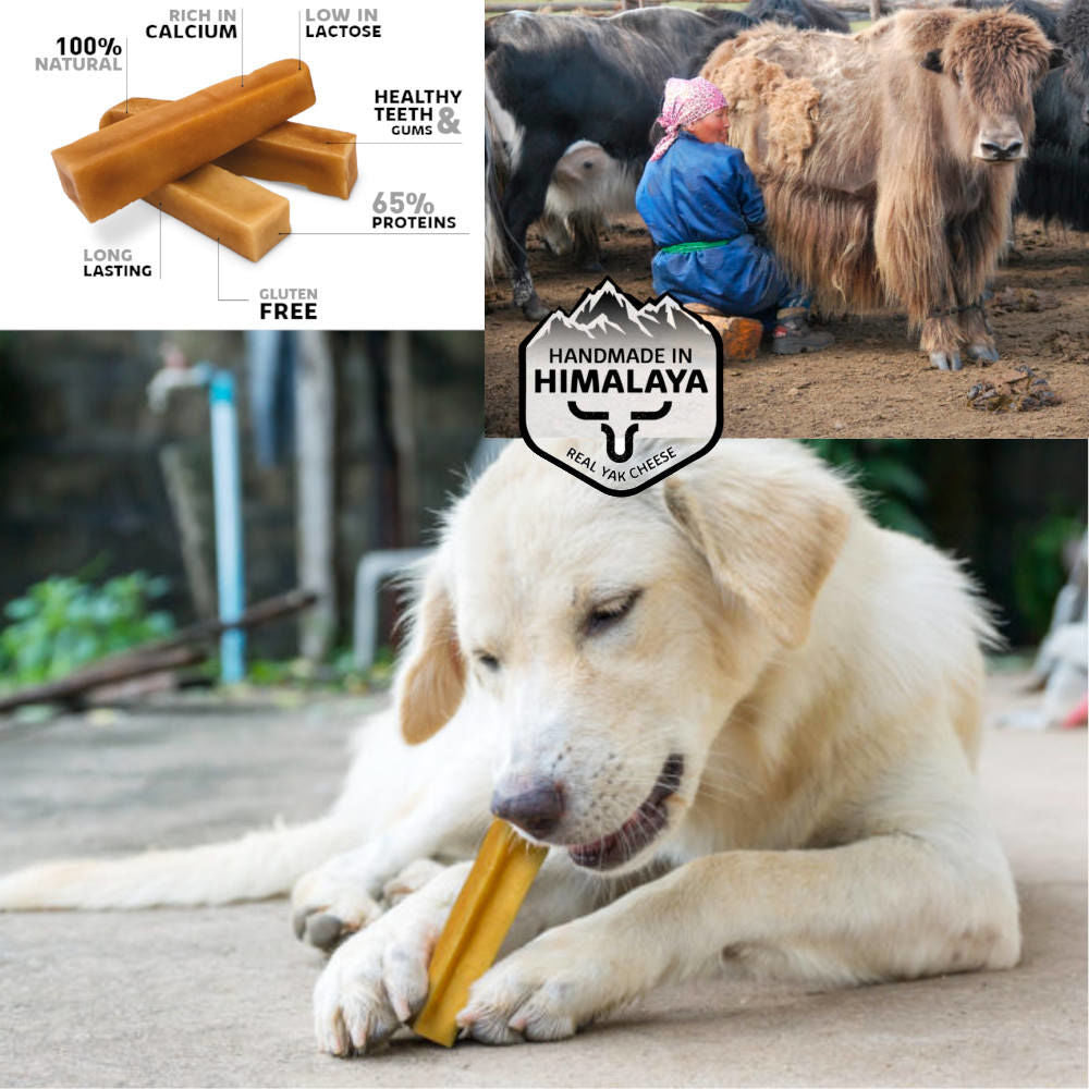 CHHURPI ΤΥΡΙ ΙΜΑΛΑΪΩΝ SPR 4-10KG 70G