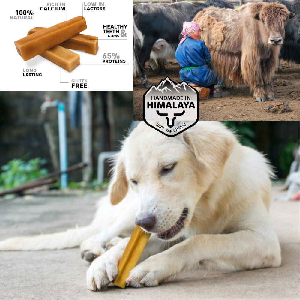 CHHURPI ΤΥΡΙ ΙΜΑΛΑΪΩΝ SPR 4-10KG 70G