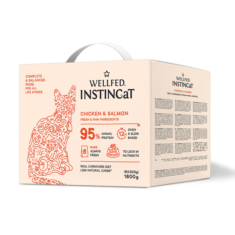 WELLFED INSTINCAT S.O.B.ADULT SALMON 6X300GR