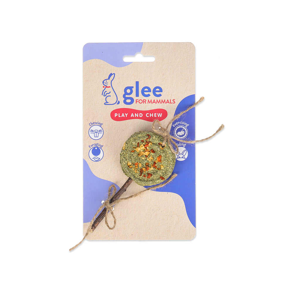 91323 GLEE ΛΙΧΟΥΔΙΑ ΤΡΩΚΤΙΚΩΝ TIMOTHY LOLLIPOP APPLE 14.5CM