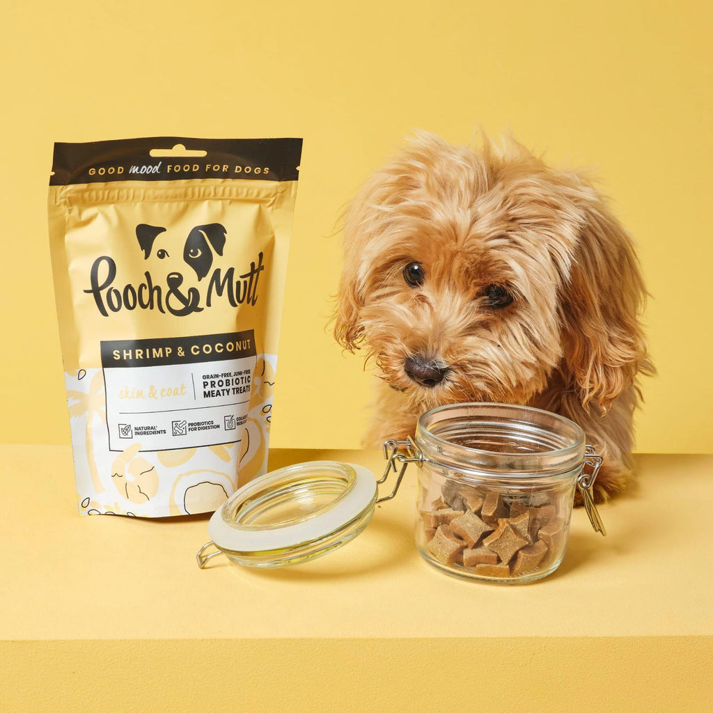 POOCH & MUTT DOG SNACK SKIN & COAT 120GR