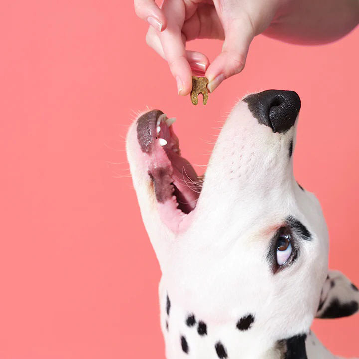 POOCH & MUTT DOG SNACK DENTAL 120GR