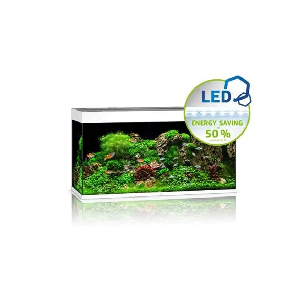 JUWEL ΕΝΥΔΡΕΙΟ RIO 350 LED ΛΕΥΚΟ