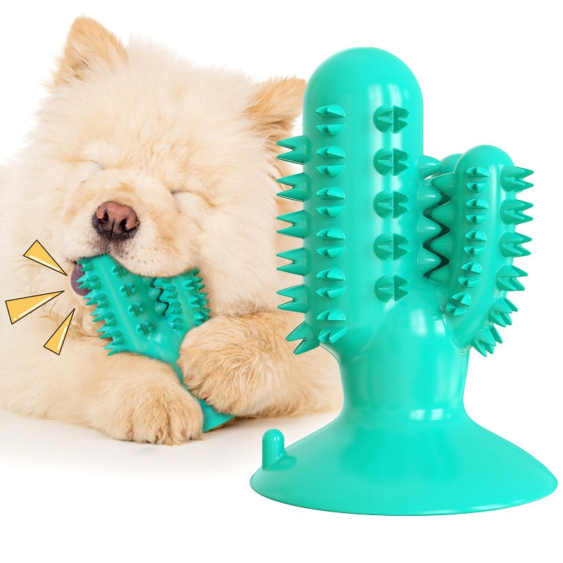 SQUEAKER CACTUS DOG TOOTHBRUSH L. BLUE 92X92X128MM