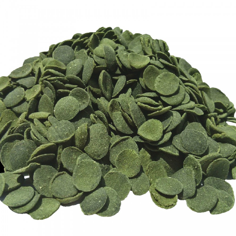 TROPICAL GREEN ALGAE WAFERS 250ML/113G