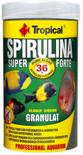 TROPICAL SUPER SPIRULINA FORTE GRANULES 250ML