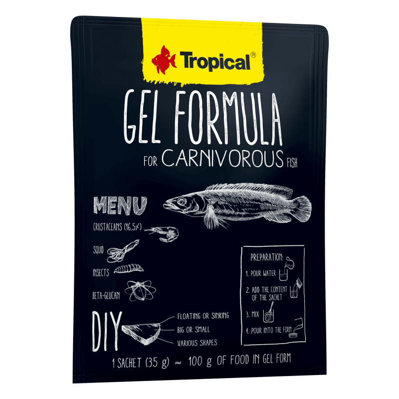 TROPICAL GEL FORMULA CARNIVORE DIY - FOOD GEL 35G