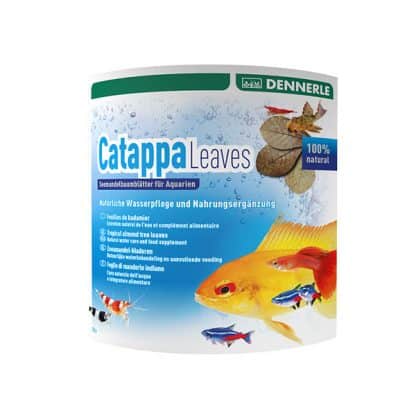 DENNERLE CATAPPA LEAVES ALMOND LEAVES