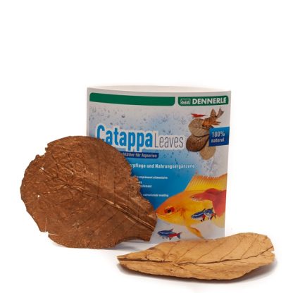 DENNERLE CATAPPA LEAVES ALMOND LEAVES