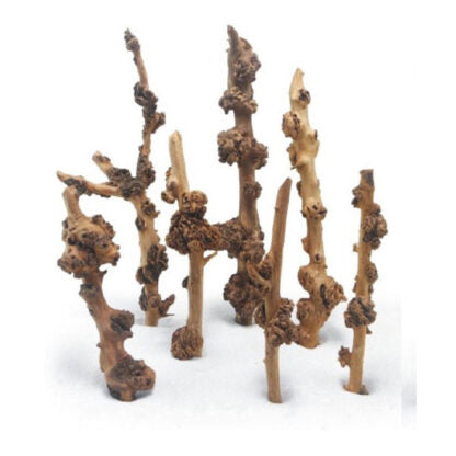 HAQUOSS SAVANA WOOD MEDIUM 30/40CM (END)
