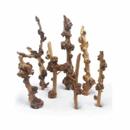 HAQUOSS SAVANA WOOD SMALL 20/30CM (END)