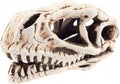 AQUA NOVA DINOSAUR SKULL 14X7X7CM