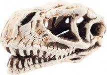 AQUA NOVA DINOSAUR SKULL 14X7X7CM