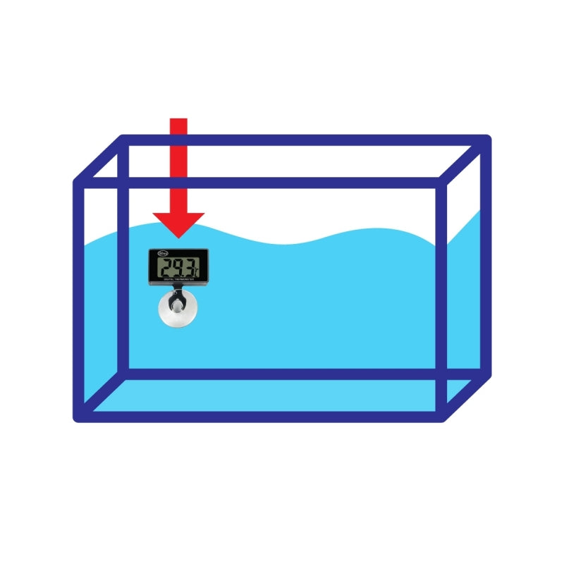 AQUA NOVA DIGITAL THERMOMETER