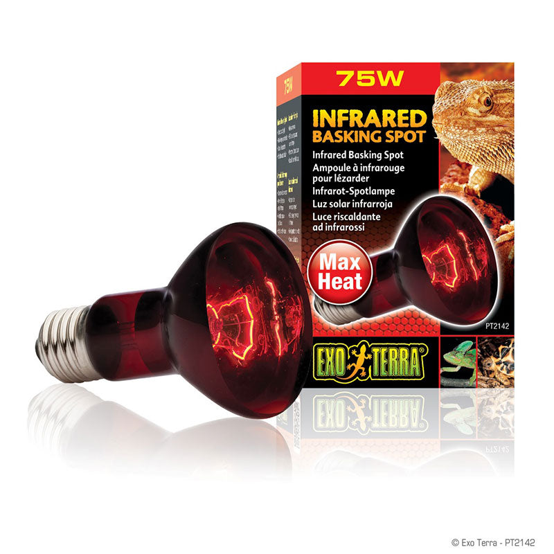 EXO TERRA ΛΑΜΠΑ ΗΜΕΡΑΣ DAY GLO BASKING SPOT LAMP 75W ΓΙΑ ΧΕΛΩΝΕΣ