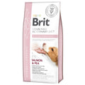 BRIT VD GRAIN FREE DOG HYPOALLERGENIC 12KG