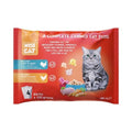 WISE CAT WITH JUICY TURKEY IN SAUCE & JUICY CHICKEN IN SAUCE 4X100GR