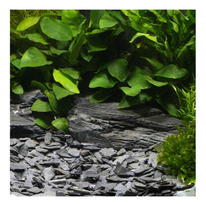 DENNERLE NATURAL GRAVEL KONGO 10-30MM 500G