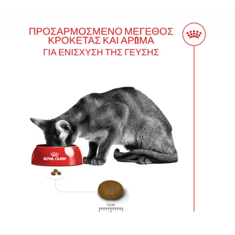 ROYAL CANIN FUSSY CAT EXIGENT 400G