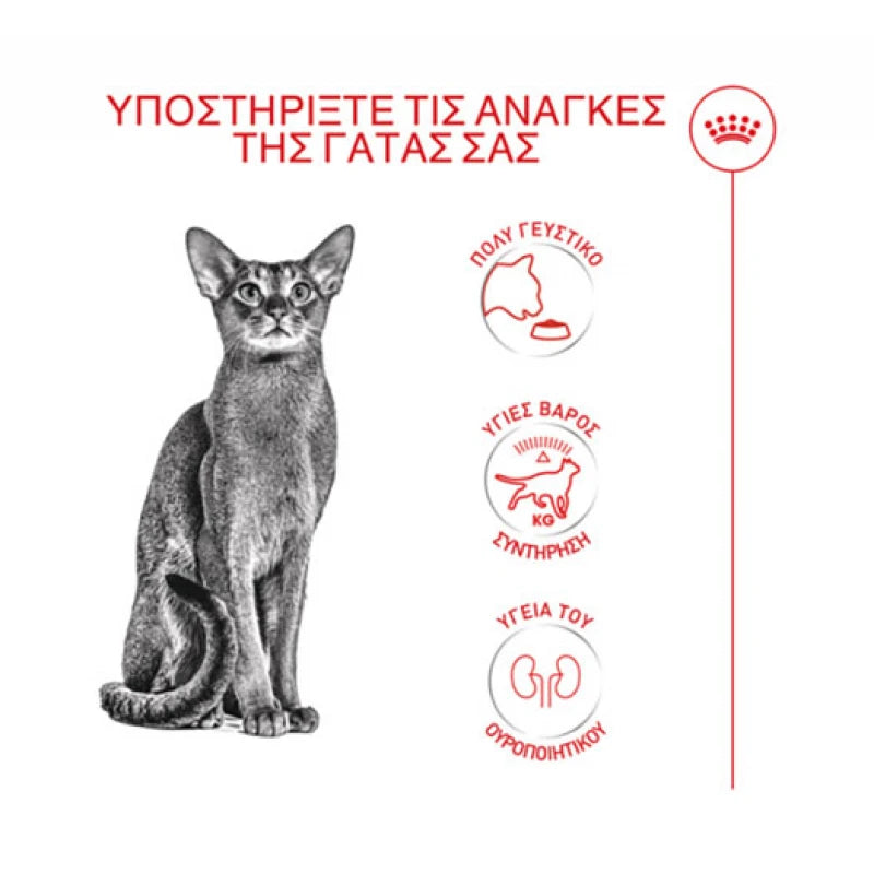 ROYAL CANIN FUSSY CAT EXIGENT 400G