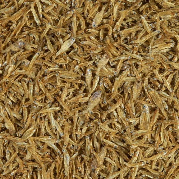 TETRA ANCHOVIES 250ML