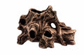 AQUA NOVA ΡΙΖΑ ΔΕΝΤΡΟΥ 13Χ19Χ11CM