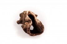 AQUA NOVA ΡΙΖΑ ΔΕΝΤΡΟΥ L 12,5X8X5,5CM