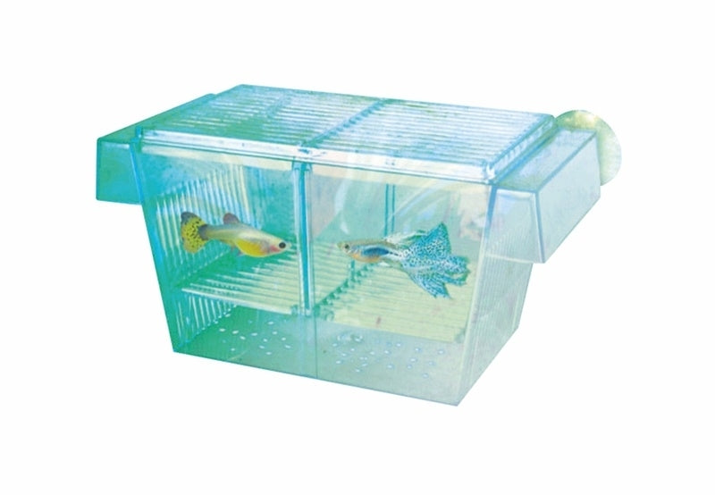 AQUA NOVA FISH HATCHERY 20X10,5CM