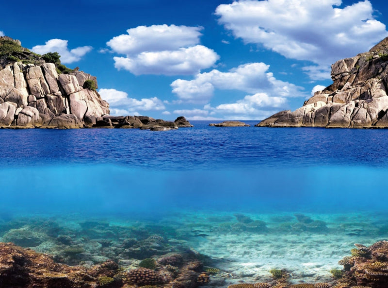 AQUA NOVA AQUARIUM BACKGROUND S 60X30CM PLANTS/OCEAN