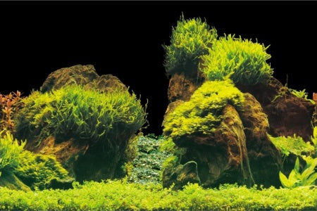AQUA NOVA AQUARIUM BACKGROUND XL 150X60CM ROCK/PLANTS