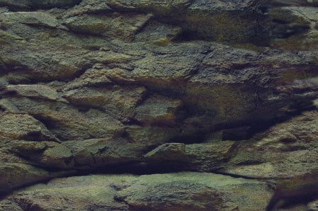 AQUA NOVA AQUARIUM BACKGROUND XL 150X60CM ROCK/PLANTS